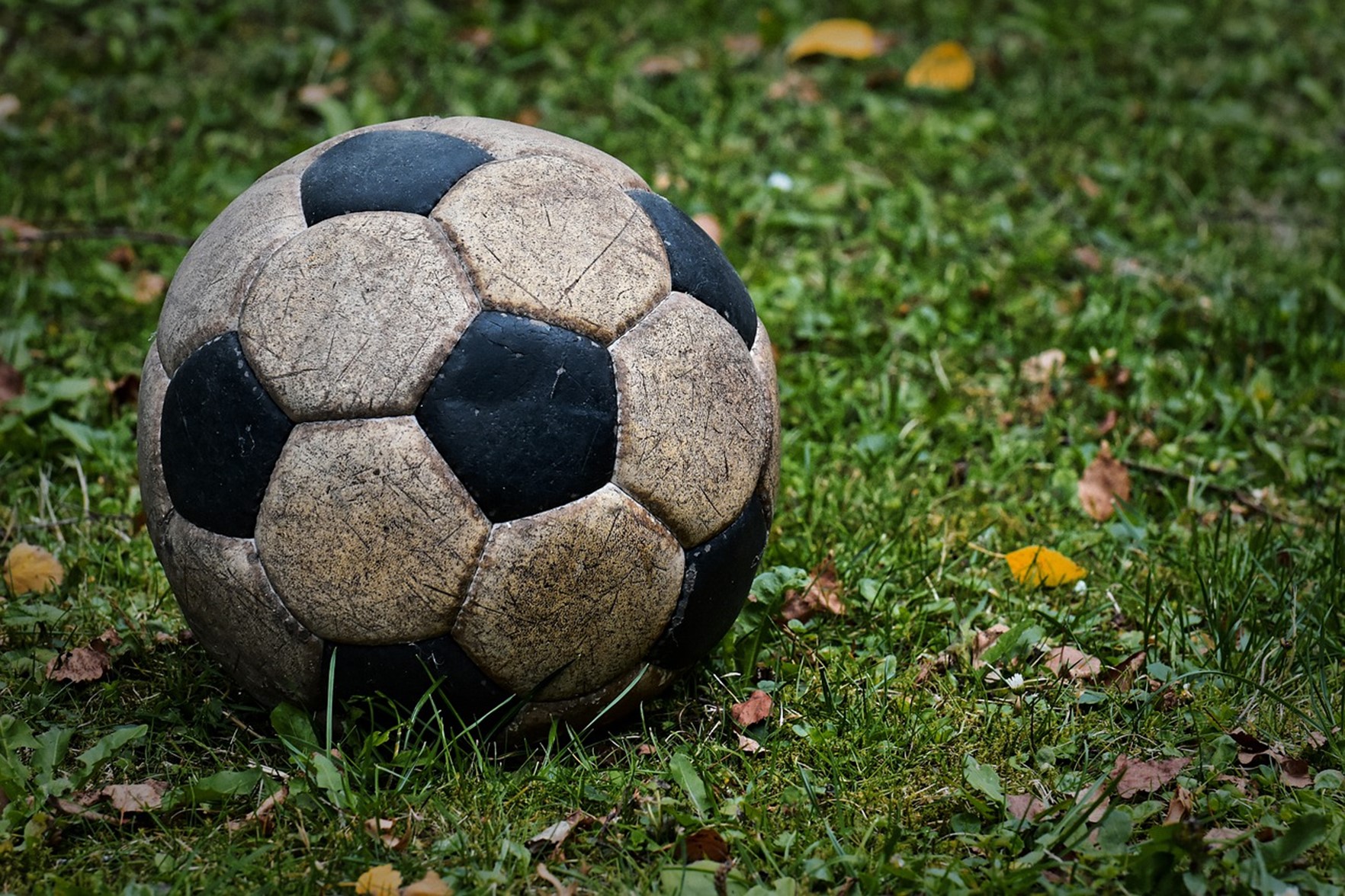 Macintosh HD:Users:kishi:Downloads:football-4382750_1280.jpg