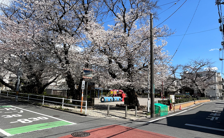 &RESORT HOUSE 南浦和Ⅳ期 周辺エリア 葉根木公園