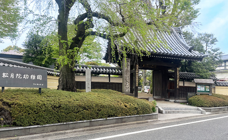 &RESORT HOUSE 成増Ⅲ期 周辺エリア 松月院幼稚園