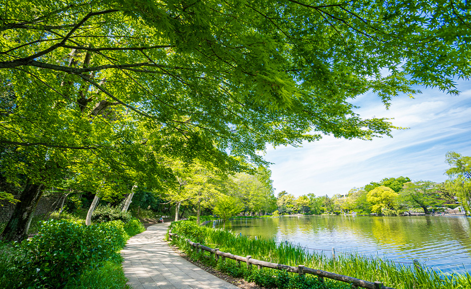 &RESORT HOUSE 石神井公園Ⅶ期 周辺エリア 都立石神井公園