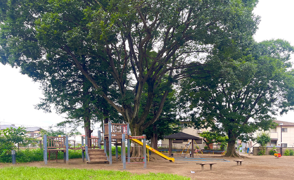&RESORT HOUSE 西国分寺Ⅱ期 周辺エリア すぎのこ公園