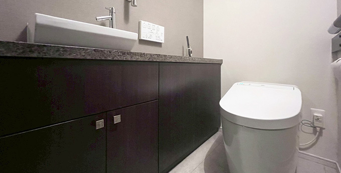 プラウド虎ノ門 洗面所