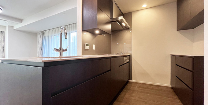 グースネック型水栓や多機能コンロも