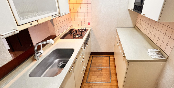 グースネック型水栓や多機能コンロも