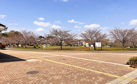 &RESORT HOUSE 船橋市坪井東1丁目 周辺エリア 坪井の森緑地