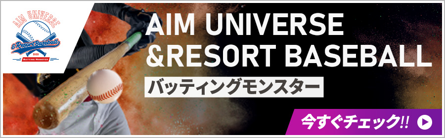 AIM UNIVERSE &RESORT BASEBALL バッティングモンスター